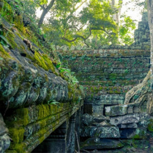 캄보디아 앙코르와트 일출 투어 (승려 축복 의식 포함) 솔직 후기 | 실사용자 리뷰 분석 - 상품 이미지 1