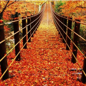 일본 이바라키 단풍놀이 | 후쿠로다 폭포 & 츠키요 폭포 & 하나누키 계... 솔직 후기 | 실사용자 리뷰 분석 - 상품 이미지 4