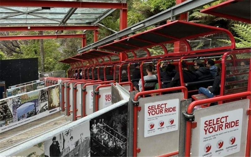 시드니 블루마운틴 & 시드니 동물원 일일 투어 (한국어 가이드 포함) 이미지 3