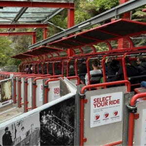 시드니  블루마운틴 & 시드니 동물원 일일 투어 (한국어 가이드 포함) 솔직 후기 | 실사용자 리뷰 분석 - 상품 이미지 3