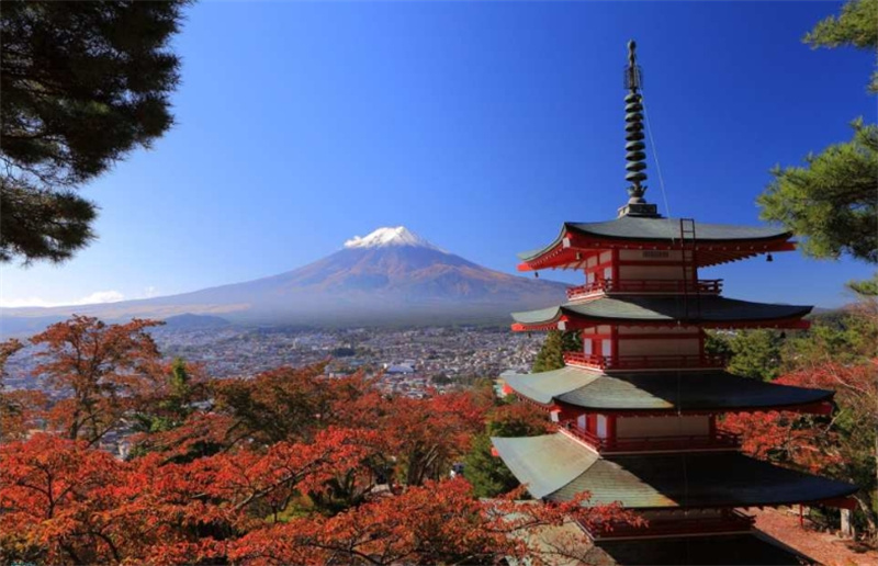 일본 야마나시 | 후지산 고고메, 오층탑, 가와구치호 케이블카, 사가미호... 솔직 후기 | 실사용자 리뷰 분석 - 대표 이미지