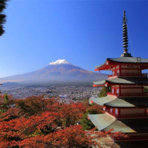 일본 야마나시 | 후지산 고고메, 오층탑, 가와구치호 케이블카, 사가미호... 솔직 후기 | 실사용자 리뷰 분석 - 상품 이미지 1