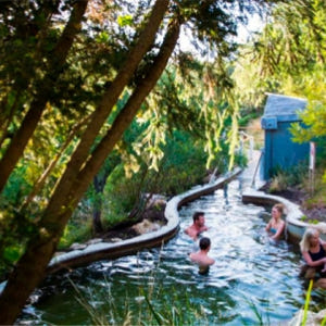 시드니  페닌슐라 온천 체험 솔직 후기 | 실사용자 리뷰 분석 - 상품 이미지 1