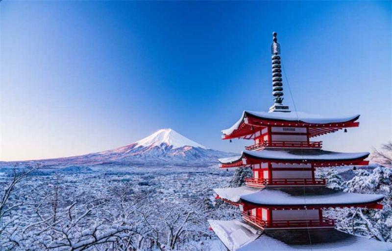 일본 야마나시 | 후지산 고고메, 오층탑, 가와구치호 케이블카, 사가미호 라이트쇼 버스 일일 투어 (신주쿠 출발) 이미지 2
