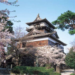 일본 후쿠이｜도진보｜마루오카성｜에이헤이지｜가나자와역 출발 솔직 후기 | 실사용자 리뷰 분석 - 상품 이미지 4