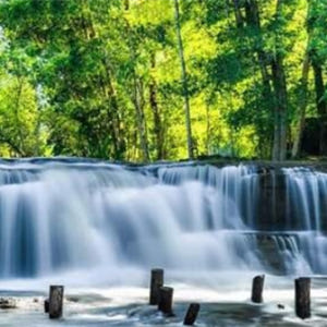 캄보디아 쿨렌산 국립공원 & 폭포 일일 투어 솔직 후기 | 실사용자 리뷰 분석 - 상품 이미지 4