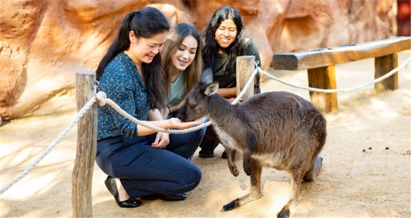 WILD LIFE Sydney Zoo