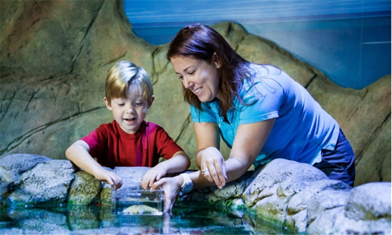 호주 시드니 씨라이프 아쿠아리움 입장권 이미지 4