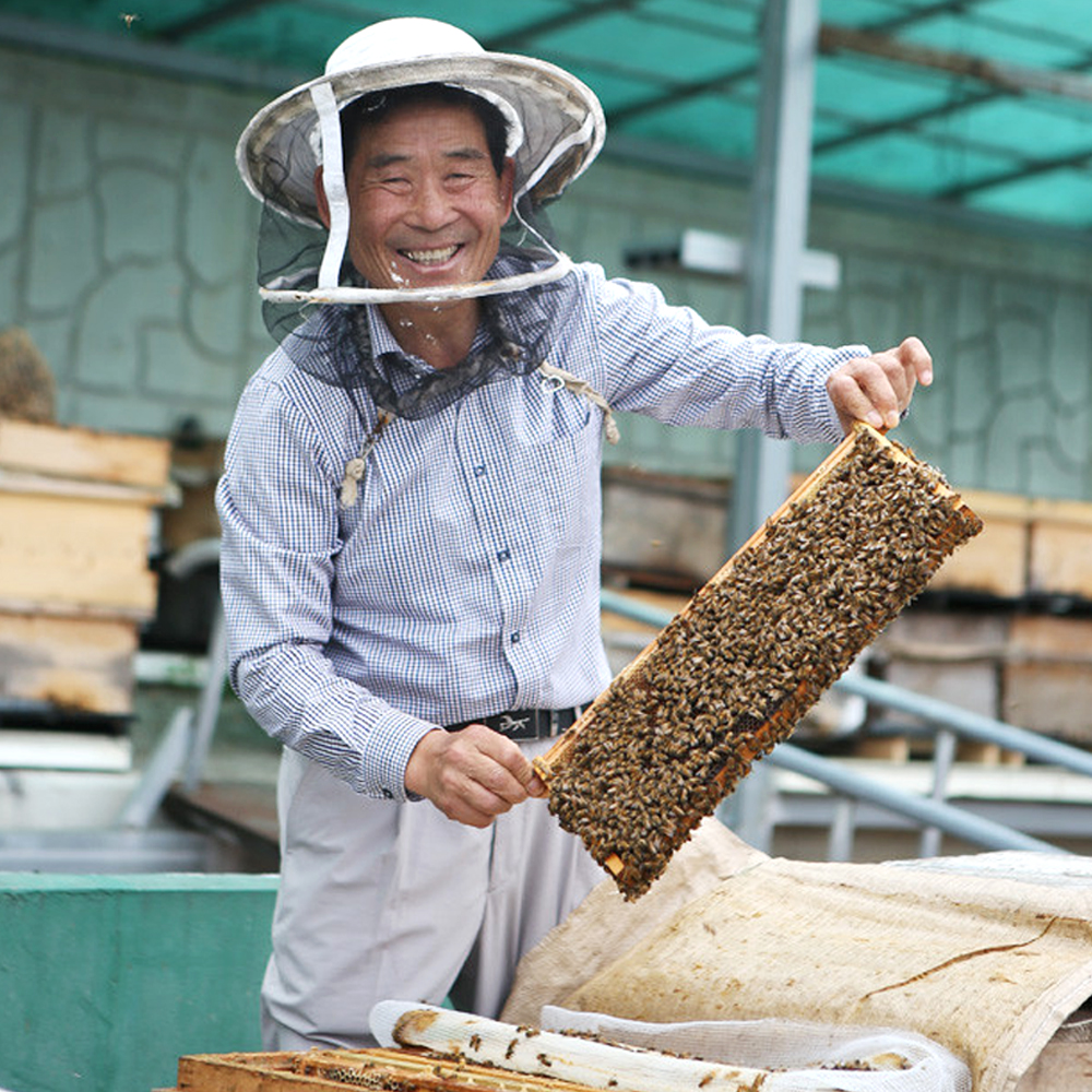 자연산 천연벌꿀 햇꿀 진짜 야생 벌꿀 1kg