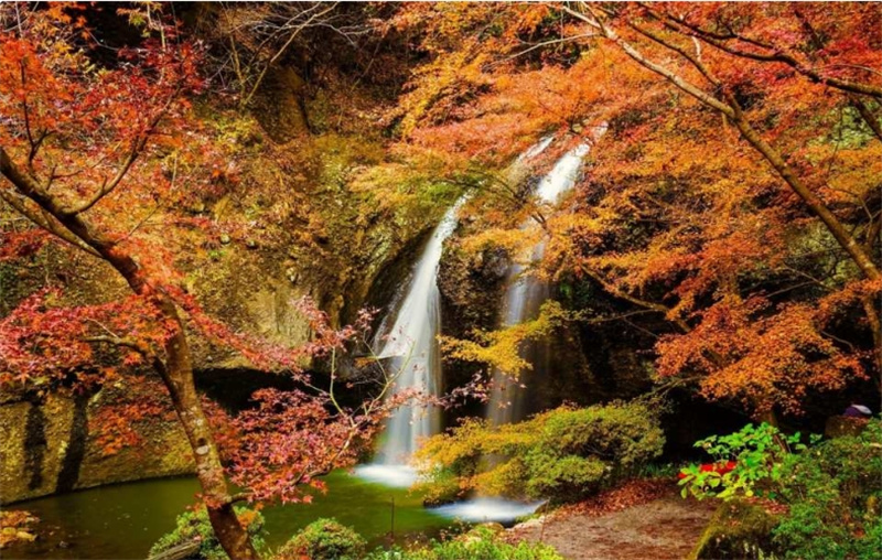 일본 이바라키 단풍놀이 | 후쿠로다 폭포 & 츠키요 폭포 & 하나누키 계곡 1일 투어 | 도쿄 긴자 출발 이미지 3