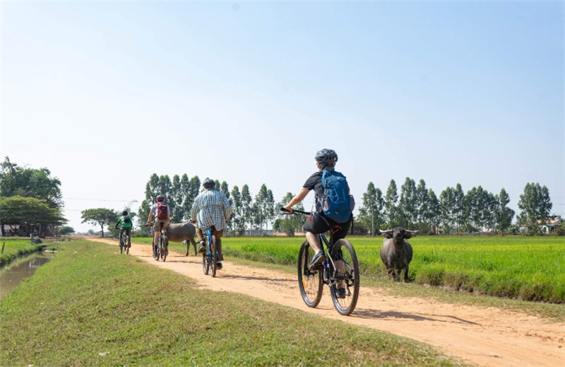 캄보디아 씨엠립 근교 반나절 자전거 투어 솔직 후기 | 실사용자 리뷰 분석 - 대표 이미지
