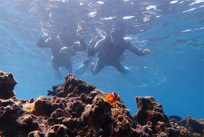 일본 미야코 섬 출발 | 미야코 섬의 바다에서 바다 거북을 볼 수 있는 스노클링 (오전 / 오후 출발 & 사진 데이터 무료) 이미지 4
