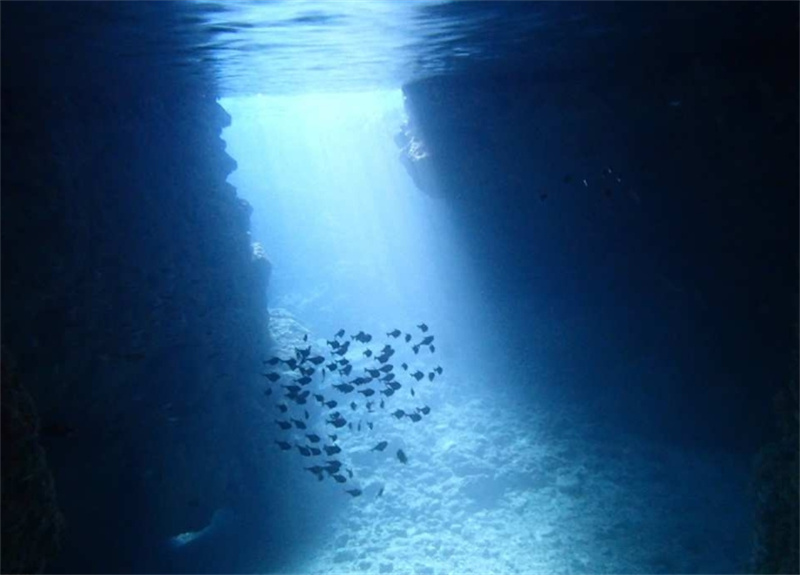 일본 오키나와 푸른동굴 스노클링 체험 | 내추럴 블루 이미지 3