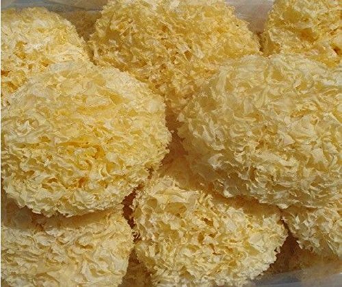 특A급 흰목이버섯 1Kg 백목이버섯 효능 콜라겐 은이 500g 한입목이 백목이 흰목이 이미지 8
