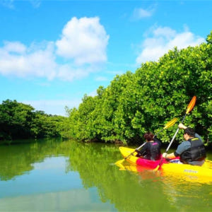 일본 오키나와 이시가키 섬 출발 | 천연 기념물 맹그로브 숲에서 카누 o... 솔직 후기 | 실사용자 리뷰 분석 - 상품 이미지 2