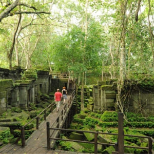 캄보디아 벵 메알레아 프라이빗 툭툭 투어 솔직 후기 | 실사용자 리뷰 분석 - 상품 이미지 3