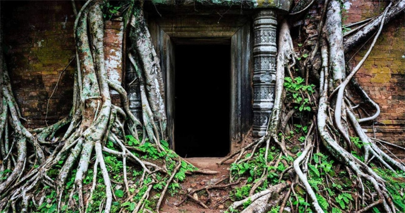 캄보디아 벵 메알레아 프라이빗 툭툭 투어 이미지 4