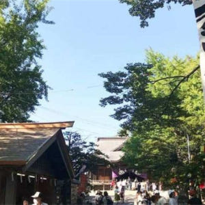 일본 홋카이도 전세차 반나절 관광 | 절과 신사를 둘러보는 고슈인 코스 ... 솔직 후기 | 실사용자 리뷰 분석 - 상품 이미지 1