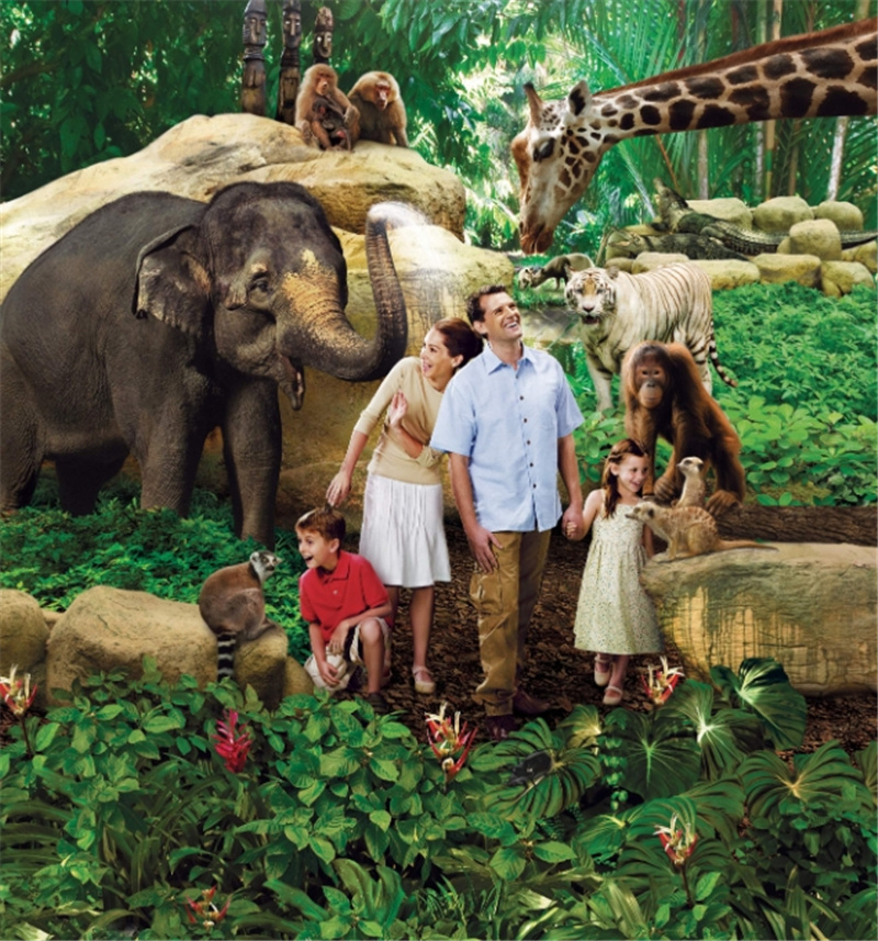 싱가포르 프라이빗 셔틀 서비스 (Zenith) 이미지 4