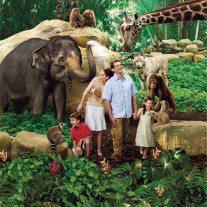 싱가포르 프라이빗 셔틀 서비스 (Zenith) 솔직 후기 | 실사용자 리뷰 분석 - 상품 이미지 4