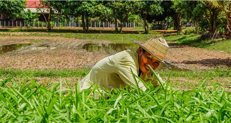 캄보디아 씨엠립 근교 반나절 자전거 투어 이미지 3