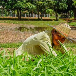 캄보디아 씨엠립 근교 반나절 자전거 투어 솔직 후기 | 실사용자 리뷰 분석 - 상품 이미지 3