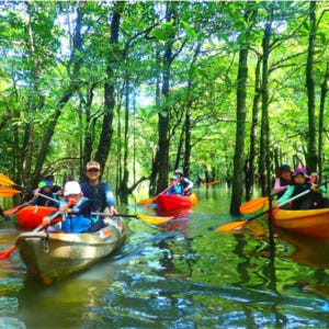 일본 오키나와 이리 오모테 섬 출발 | 맹그로브 SUP or 카누 체험 ... 솔직 후기 | 실사용자 리뷰 분석 - 상품 이미지 2