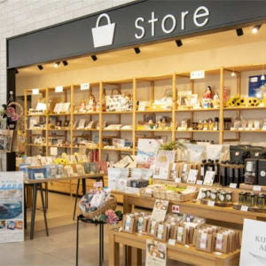 일본 구마모토 [쿠마모토 이색 체험] 아마쿠사 돌고래 와칭 투어 씨뷰 B... 솔직 후기 | 실사용자 리뷰 분석 - 상품 이미지 2