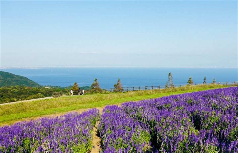 일본 오사카 아와지섬 일일 투어 (난바 출발) 이미지 3