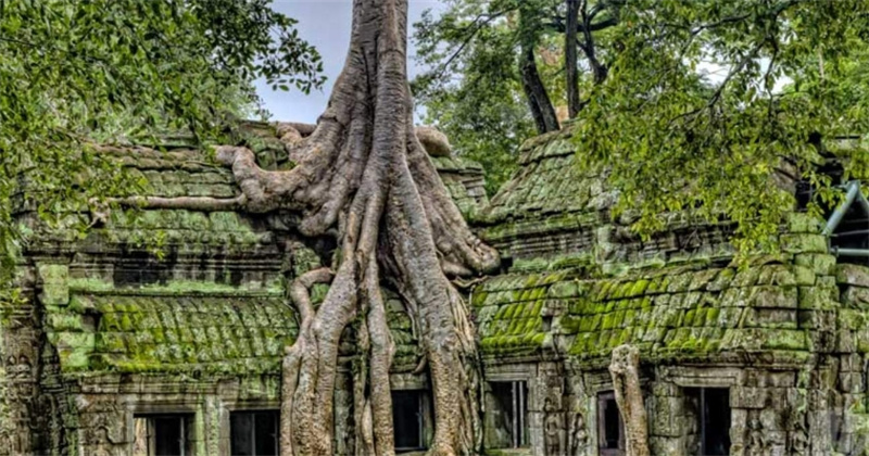 캄보디아 앙코르와트 조인 자전거 투어 (점심 & 다과 포함) 이미지 4