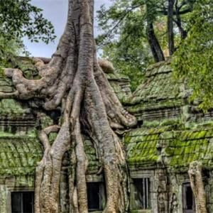 캄보디아 앙코르와트 조인 자전거 투어 (점심 & 다과 포함) 솔직 후기 | 실사용자 리뷰 분석 - 상품 이미지 4