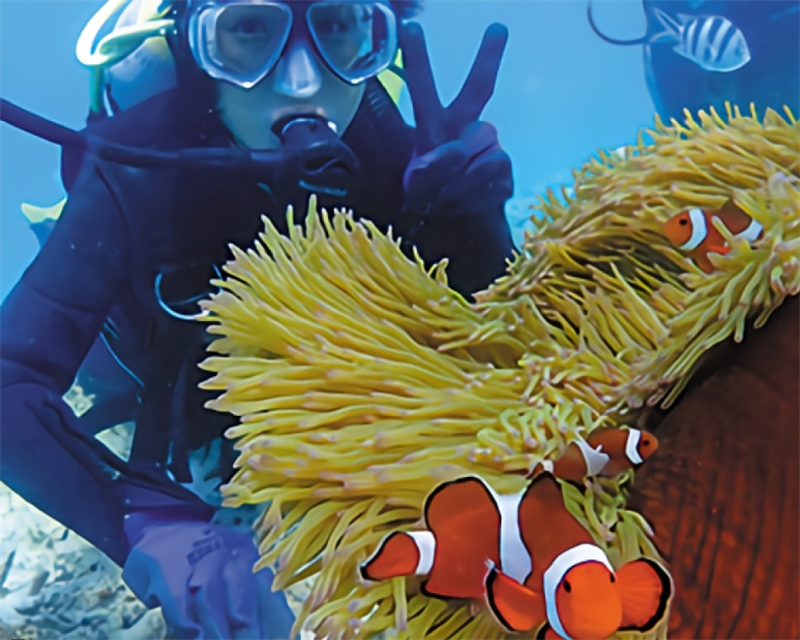 일본  오키나와 푸른동굴 + 구마노미성 보트 체험다이빙 | 사진 데이터 제공 / Seaovers 오키나와 전세 | 온나손 마에다곶 이미지 4