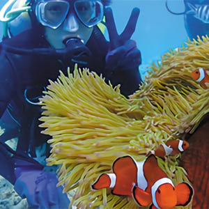 일본  오키나와 푸른동굴 + 구마노미성 보트 체험다이빙 | 사진 데이터 ... 솔직 후기 | 실사용자 리뷰 분석 - 상품 이미지 4