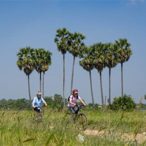 캄보디아 씨엠립 근교 반나절 자전거 투어 솔직 후기 | 실사용자 리뷰 분석 - 상품 이미지 2