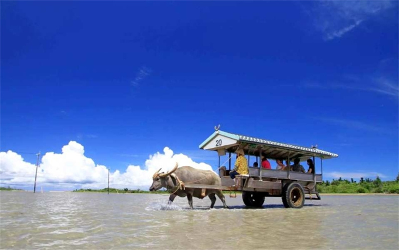 일본 오키나와 | 이시가키 낙도 호핑 페리・KARIYUSHI 3일 유람권｜즉시 확정 이미지 2