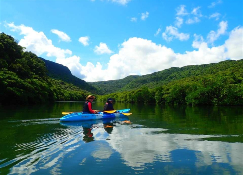 일본 오키나와 이리 오모테 섬 출발 | 맹그로브 숲에서 선택할 수있는 SUP / 카누 + 밀림 캐니어닝 체험 1 일 대자연 만끽 투어 | 사진 데이터 무료 이미지 2