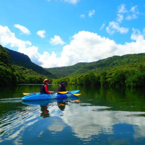 일본 오키나와 이리 오모테 섬 출발 | 맹그로브 숲에서 선택할 수있는 S... 솔직 후기 | 실사용자 리뷰 분석 - 상품 이미지 2