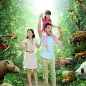 싱가포르 프라이빗 셔틀 서비스 (Zenith) 솔직 후기 | 실사용자 리뷰 분석 - 상품 이미지 2