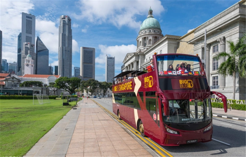 싱가포르 빅버스 시티투어 (오픈탑 / 한국어 오디오 가이드) 이미지 3