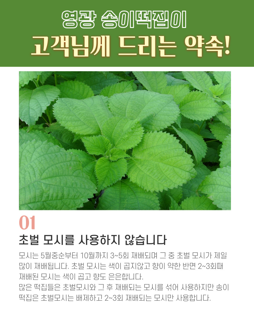(송이떡집) 모싯잎 송편(당일찐떡) 16개 1.0kg 내외