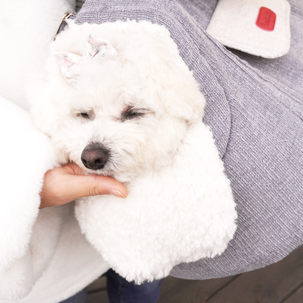 개과천선 퐁테라 강아지 이동가방 애견 이동장 극세사 산책가방 고양이 앞 포대기 외출용품 - 상세 이미지 2