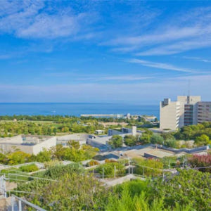 일본 오사카 아와지섬 일일 투어 (난바 출발) 솔직 후기 | 실사용자 리뷰 분석 - 상품 이미지 4