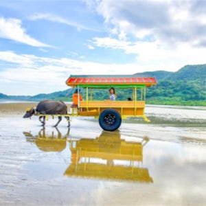 일본 오키나와 이리 오모테 섬 출발 | 맹그로브 SUP or 카누 체험 ... 솔직 후기 | 실사용자 리뷰 분석 - 상품 이미지 4