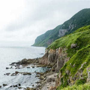 일본  홋카이도 전세자동차 반나절 관광 | 하코다테 즐기기 코스 / 나이... 솔직 후기 | 실사용자 리뷰 분석 - 상품 이미지 3