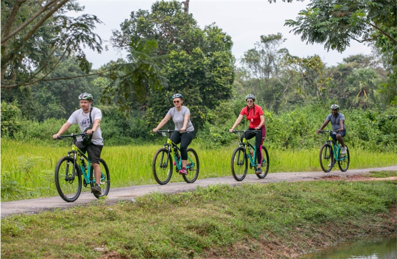 캄보디아 앙코르와트 일출 자전거 투어 솔직 후기 | 실사용자 리뷰 분석 - 대표 이미지