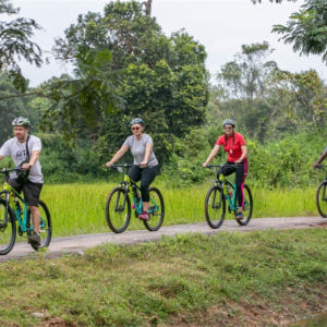 캄보디아 앙코르와트 일출 자전거 투어 솔직 후기 | 실사용자 리뷰 분석 - 상품 이미지 1