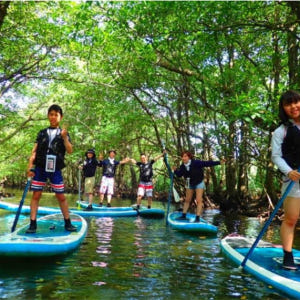 일본 오키나와 이리 오모테 섬 출발 | 맹그로브 SUP or 카누 체험 ... 솔직 후기 | 실사용자 리뷰 분석 - 상품 이미지 1