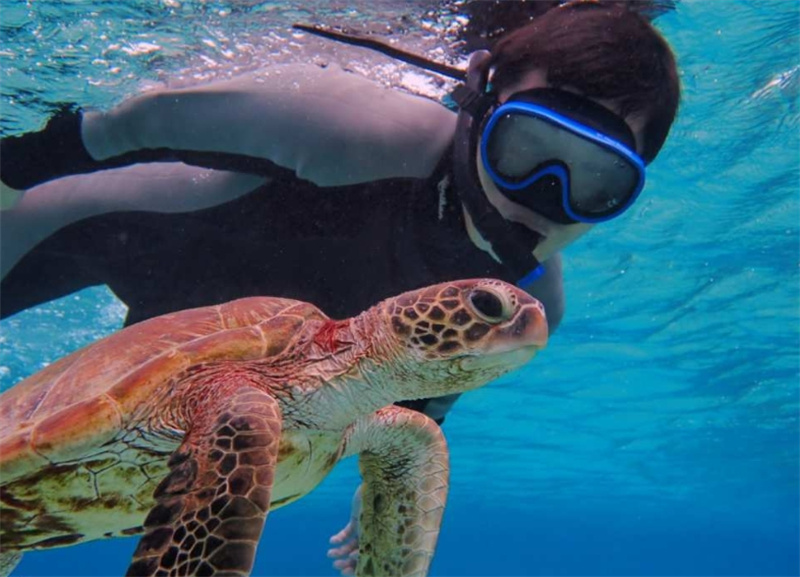 일본 오키나와 미야코지마 출발 절경 해변에서 SUP or 카누 체험  스노클링 에메랄드 블루 바다에서 하루 만끽 (사진 데이터 무료) 이미지 4