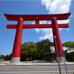 일본 효고현 아와지시 아와지섬 5시간 / 8시간 관광 택시 솔직 후기 | 실사용자 리뷰 분석 - 상품 이미지 2