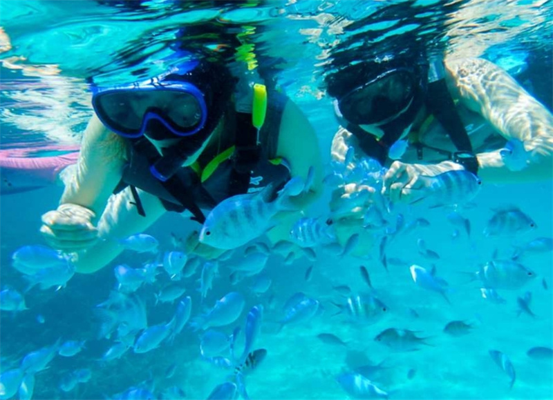 일본 오키나와 이시가키 섬 푸른동굴 바다거북 스노클링 + 해양스포츠 무제한 1일 투어 점심 식사 및 시내 지역에서 픽업 포함 이미지 2